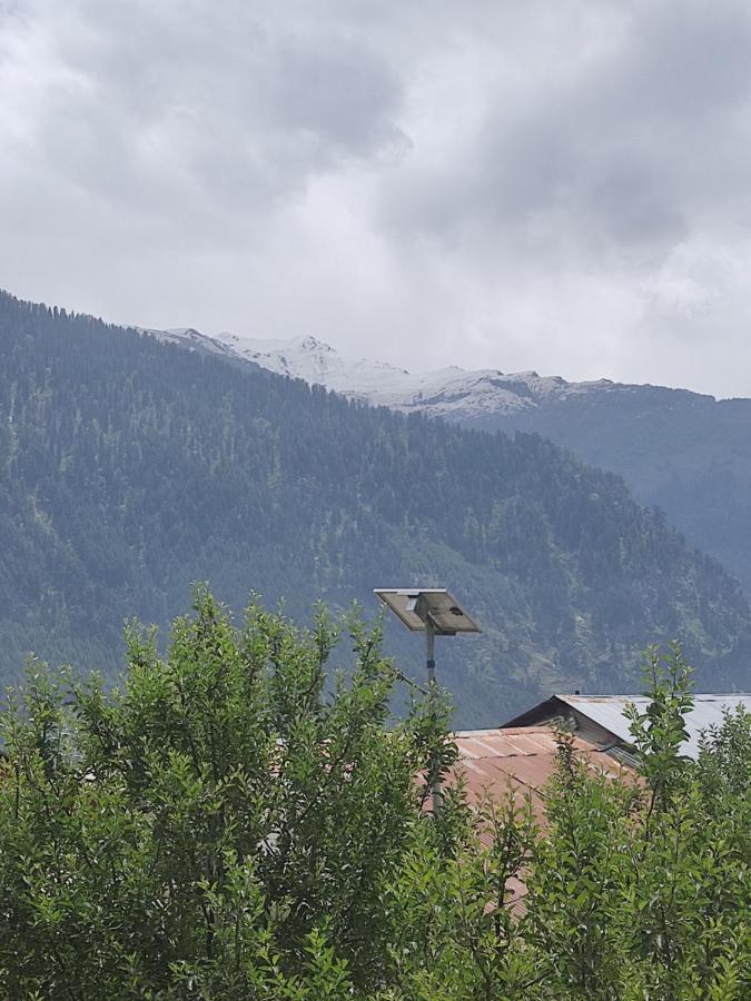 Woods Inn Mountain View Manali Экстерьер фото